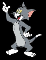 Tom the cat (2025) Meme Template