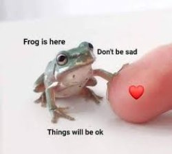 froggy, don't be sad Meme Template