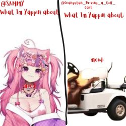 orangutan and Sammy's shared temp Meme Template