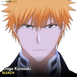 ichigo kurosaki Meme Template