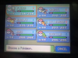 pokemon diamond team 2.0 Meme Template