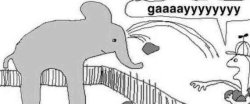 Elephant Meme Template