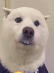 Pablo Meme Template