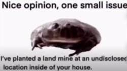 Nice opinion Meme Template