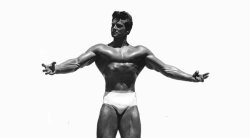 Steve Reeves Meme Template