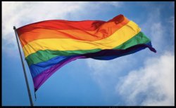 Gay flag Meme Template