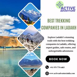 Best Trekking Companies in Ladakh Meme Template