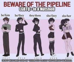 LGBTQ+ In A Nutshell Meme Template