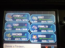 pokemon white team Meme Template
