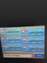 pokemon pearl team Meme Template