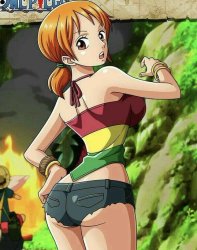 nami hot Meme Template