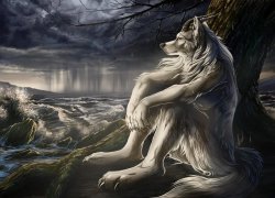 Sad wolf Meme Template