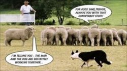 Sheeple Meme Template