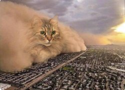 Cat Cloud Meme Template