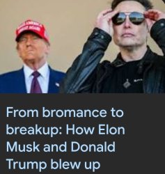 Trump Musk Meme Template