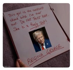 Burn Book Meme Template