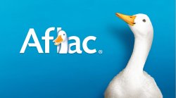 aflac duck 2 Meme Template