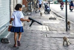 2nd Amendment - Thai style Meme Template