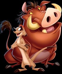 timon and punbaa Meme Template