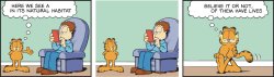 Garfield Natural Habitat Meme Template