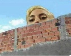 Woman peeking Meme Template
