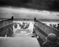 D Day 1944 Meme Template