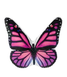 Butterfly Meme Template