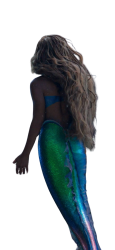 halle's back Meme Template