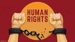 Human Rights Meme Template