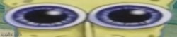 Scared Bob sponge Meme Template