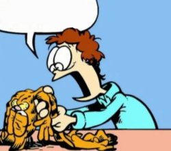 Deflated Garfield Meme Template