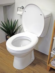 Flirting toilet Meme Template
