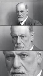 Freud Intensifies Meme Template