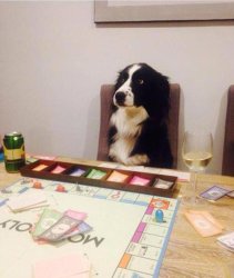 Monopoly dog Meme Template
