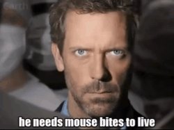 Mouse Bites Meme Template