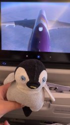 Penguin plush on plane Meme Template