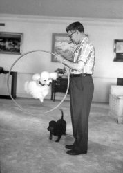 Curtis LeMay & His Flying Poodle Meme Template