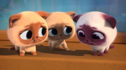 The Kittens Who Lost Mittens Meme Template