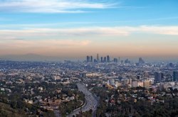Los angeles Meme Template