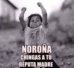 Noroña chingas a tu reputa madre Meme Template