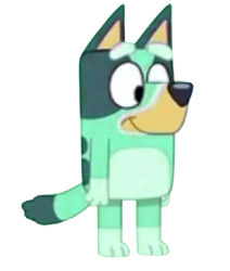 Kkuity Nyltick Meme Template