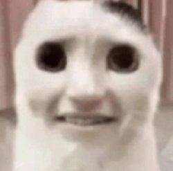 freak scared cat Meme Template