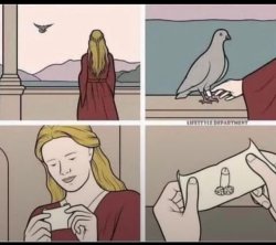 pigeon love snap Meme Template