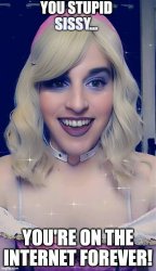 Stupid Sissy Meme Template