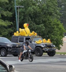 Jeep Ducks Meme Template
