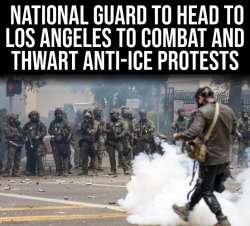 2025 LA Riots Meme Template