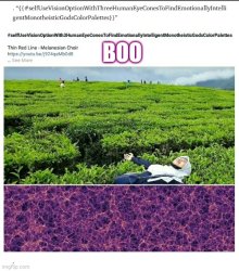 time travelling artificial intelligence Meme Template