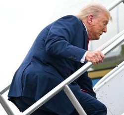trump fall Meme Template