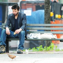 Keanu bird lover Meme Template