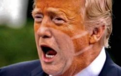 Trump said NO MASKS! $MASK Meme Template